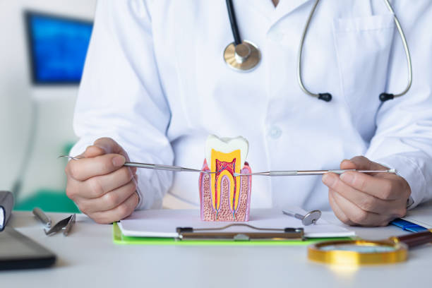 Best Broken or Cracked Tooth Emergency Dentist in Seagraves, TX